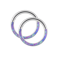 Magical Iridescent Clicker Hoops | 18g