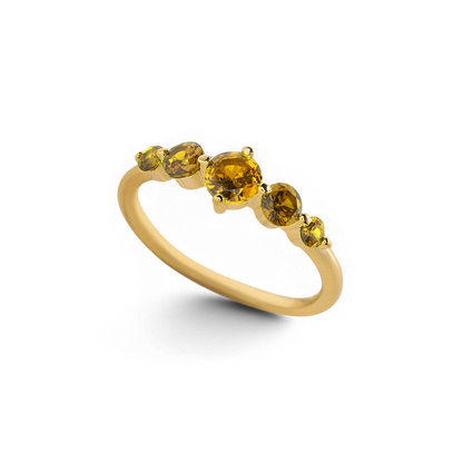 Five Stone Statement Birthstone Ring