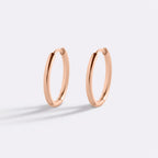 Small Hoop Earrings