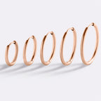 Small Hoop Earrings