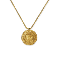 Hammered Gold Zodiac Pendant Necklace