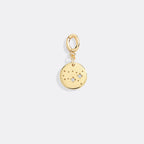 Zodiac Constellation Charm