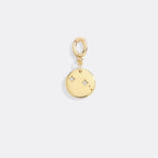 Zodiac Constellation Charm