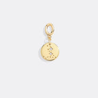 Zodiac Constellation Charm