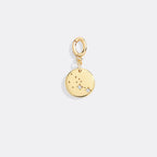 Zodiac Constellation Charm