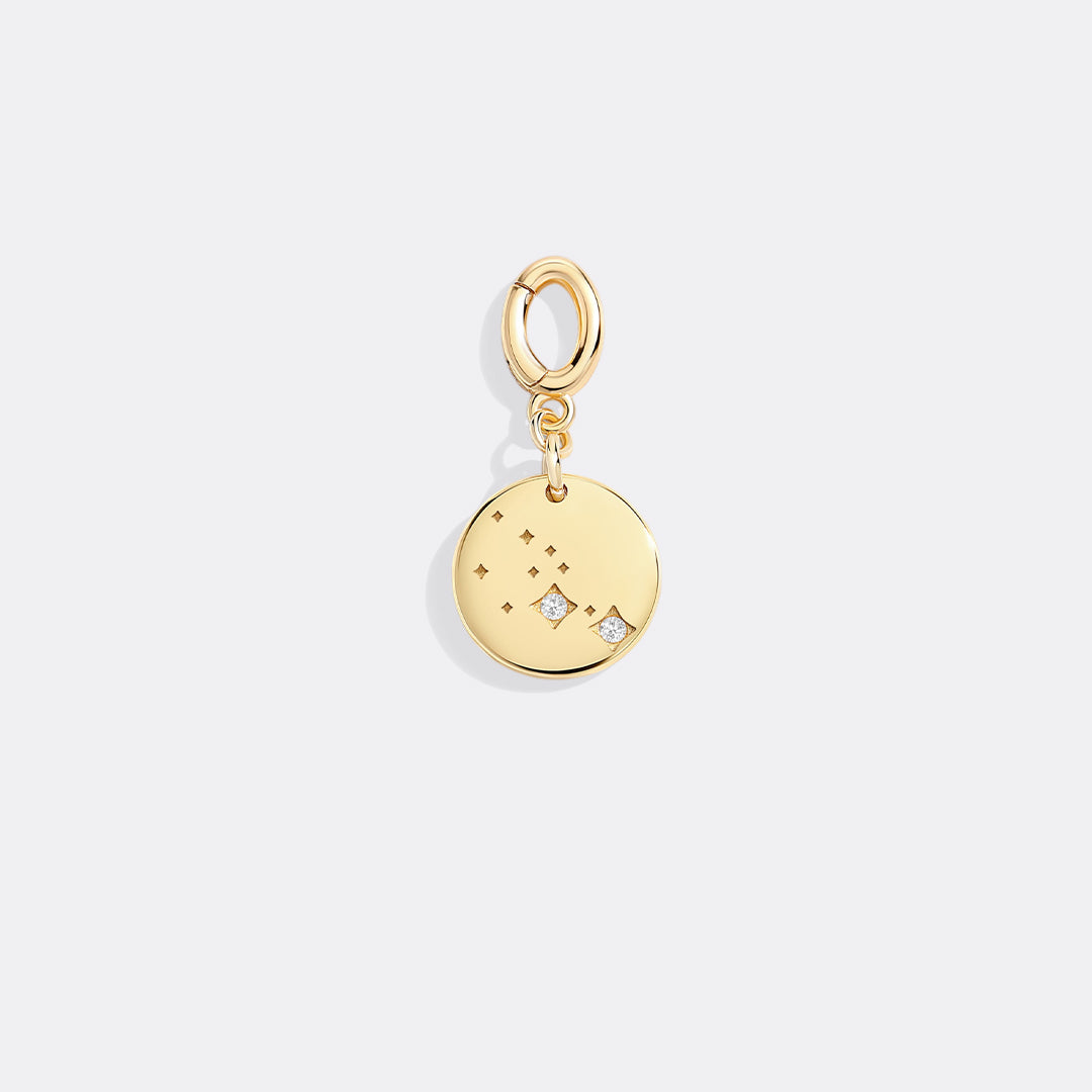 Zodiac Constellation Charm