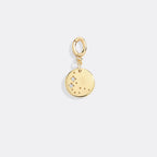 Zodiac Constellation Charm