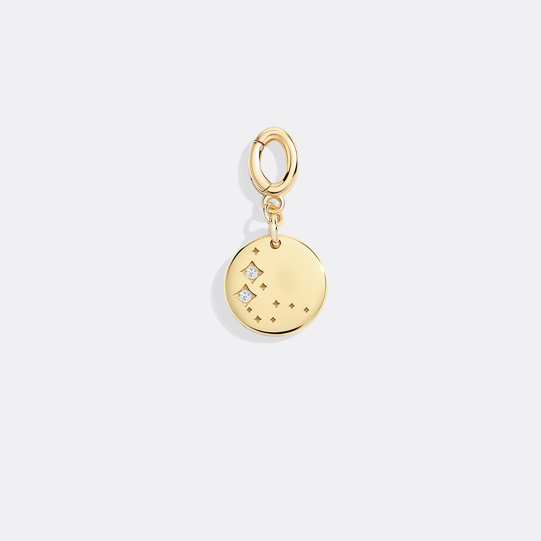 Zodiac Constellation Charm