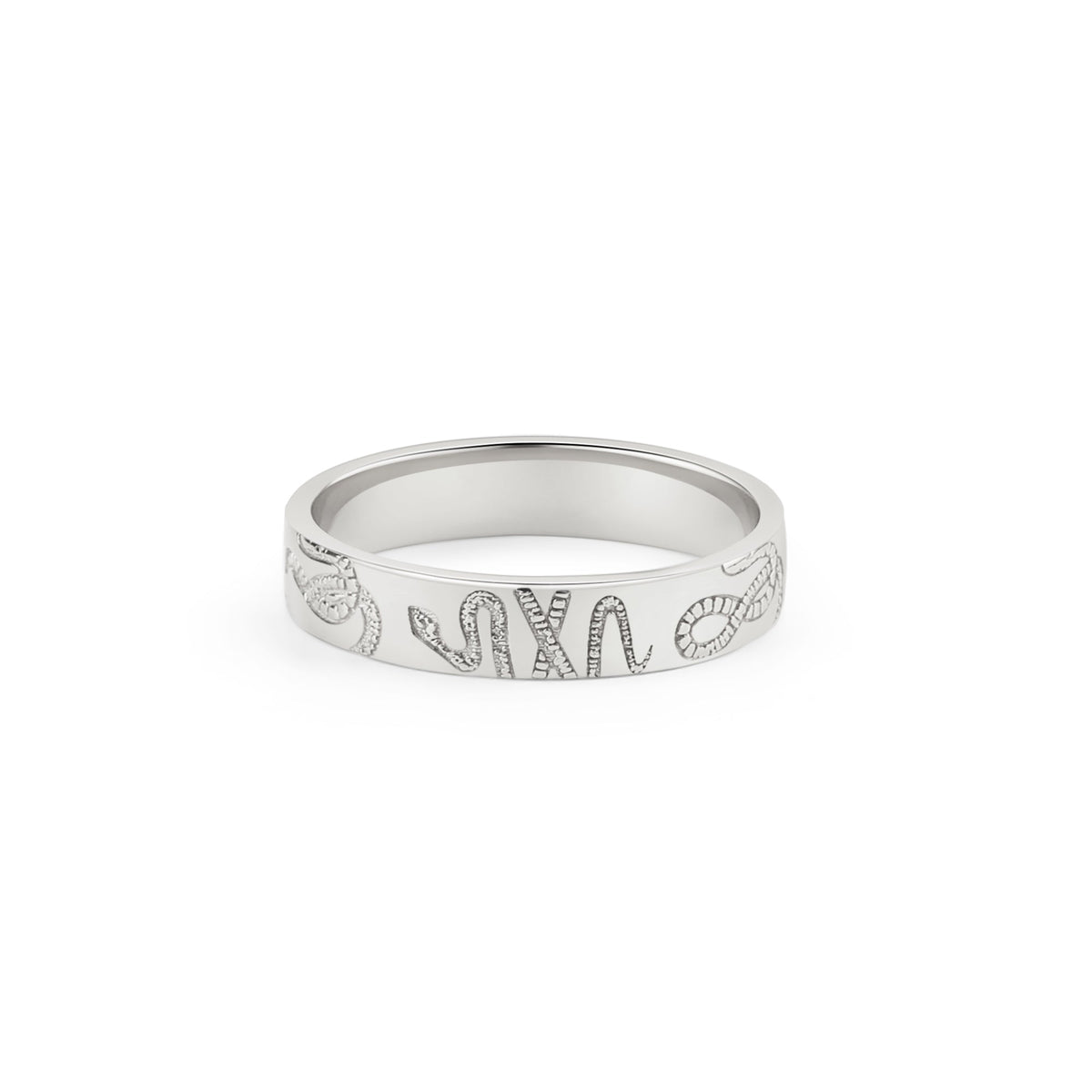 Stamped Snake Band